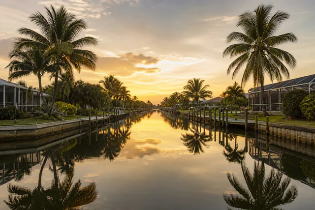Coconut palms leaning over a still residential canal at golden hour in Pompano Beach