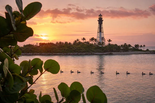 Hillsboro Inlet Lighthouse across the water at sunrise, framed by sea grape leaves