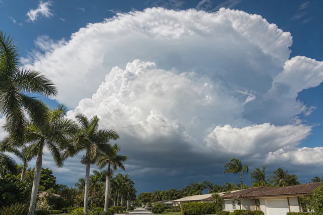 Towering summer thunderhead building inland over a royal-palm-lined Pompano Beach street